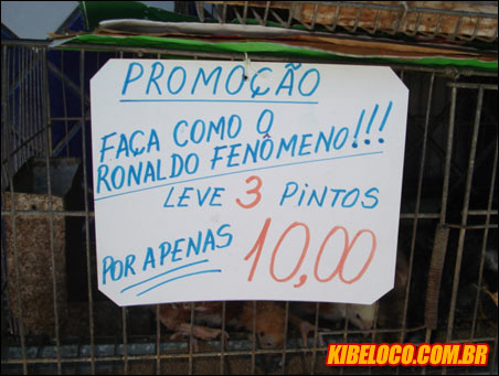[Praca151.jpg]