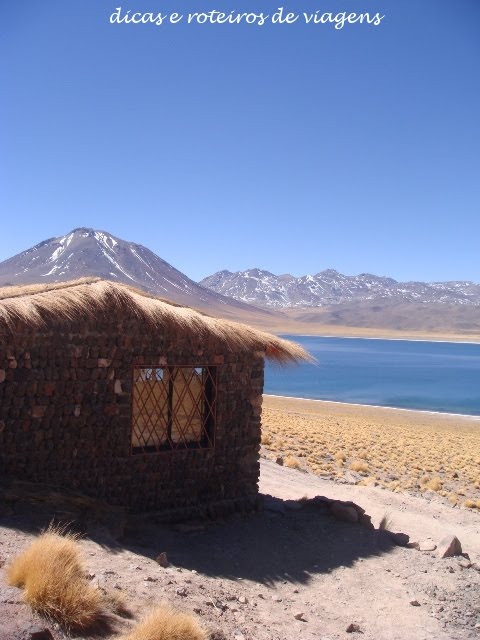 [laguna+miscanti+04.JPG]