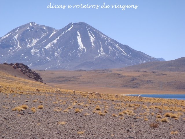 [Lagunas.JPG]
