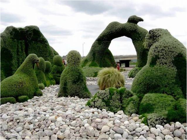 plantas jardim cerca vivajardins fenix cerca viva 2ª parte plantas jardim cerca vivajardins fenix cerca viva 2ª parte