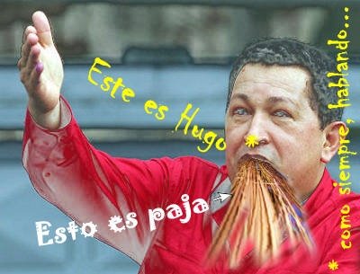[CHAVEZ_HABLANDO_PAJA[1].JPG]