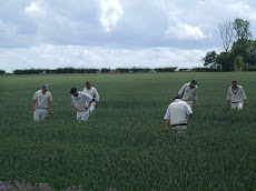 Where's the ball in the Wheatfield