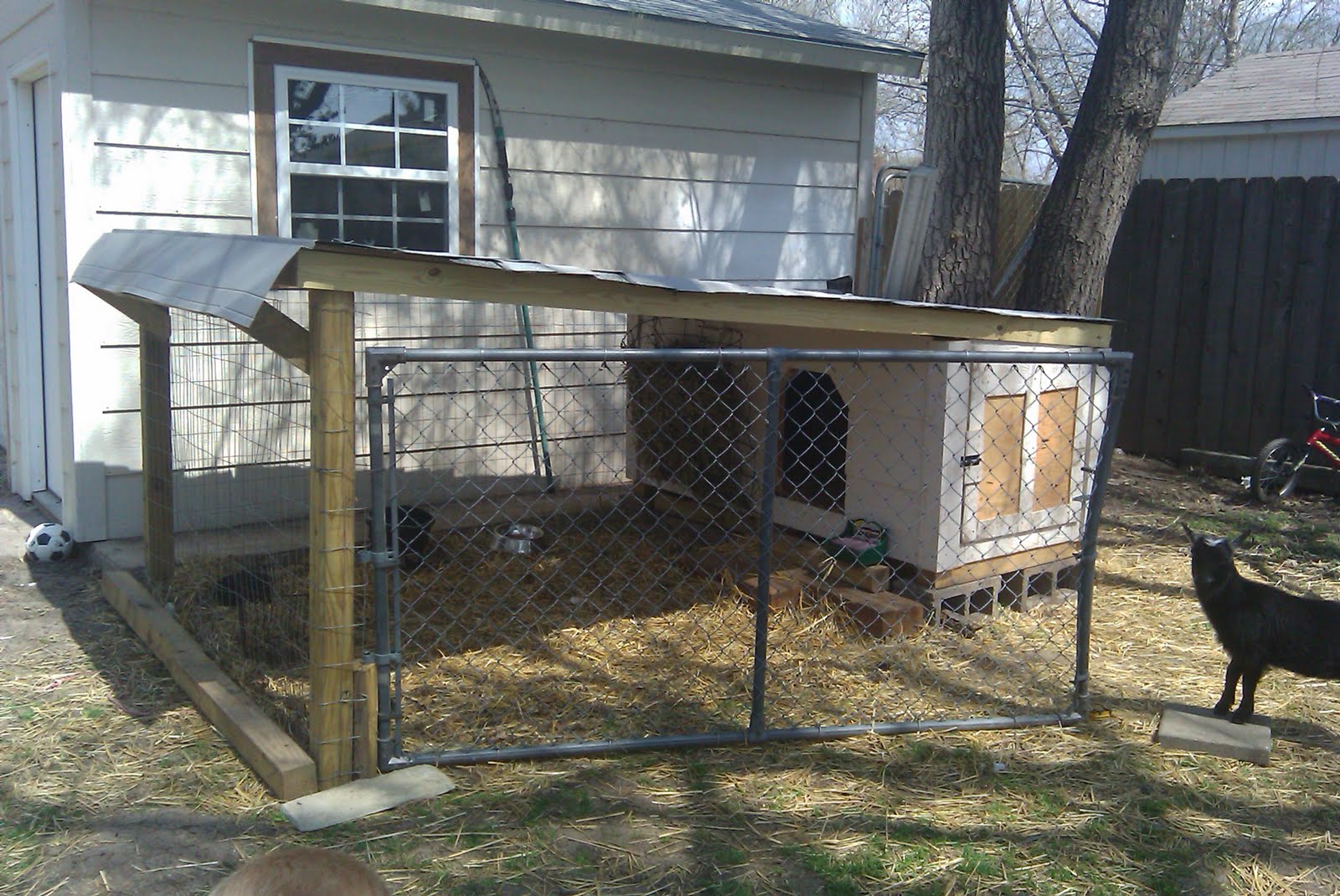 Homestead Roots Our Backyard Goat Barn
