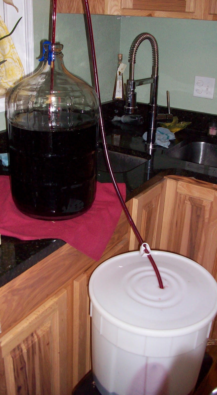 Homestead Roots Wine Home Brew Step by Step with Pics Pinot Noir Phase 2