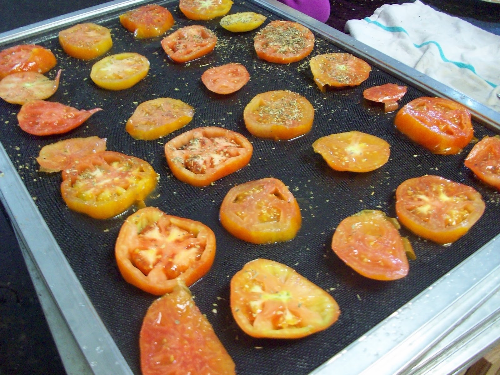 Homestead Roots Dehydrating Tomatoes