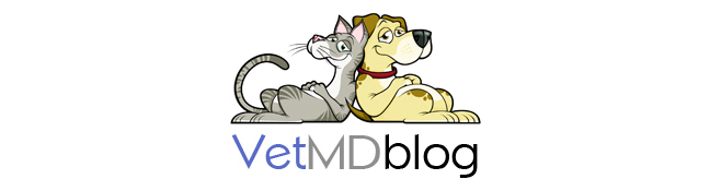 VetMDblog