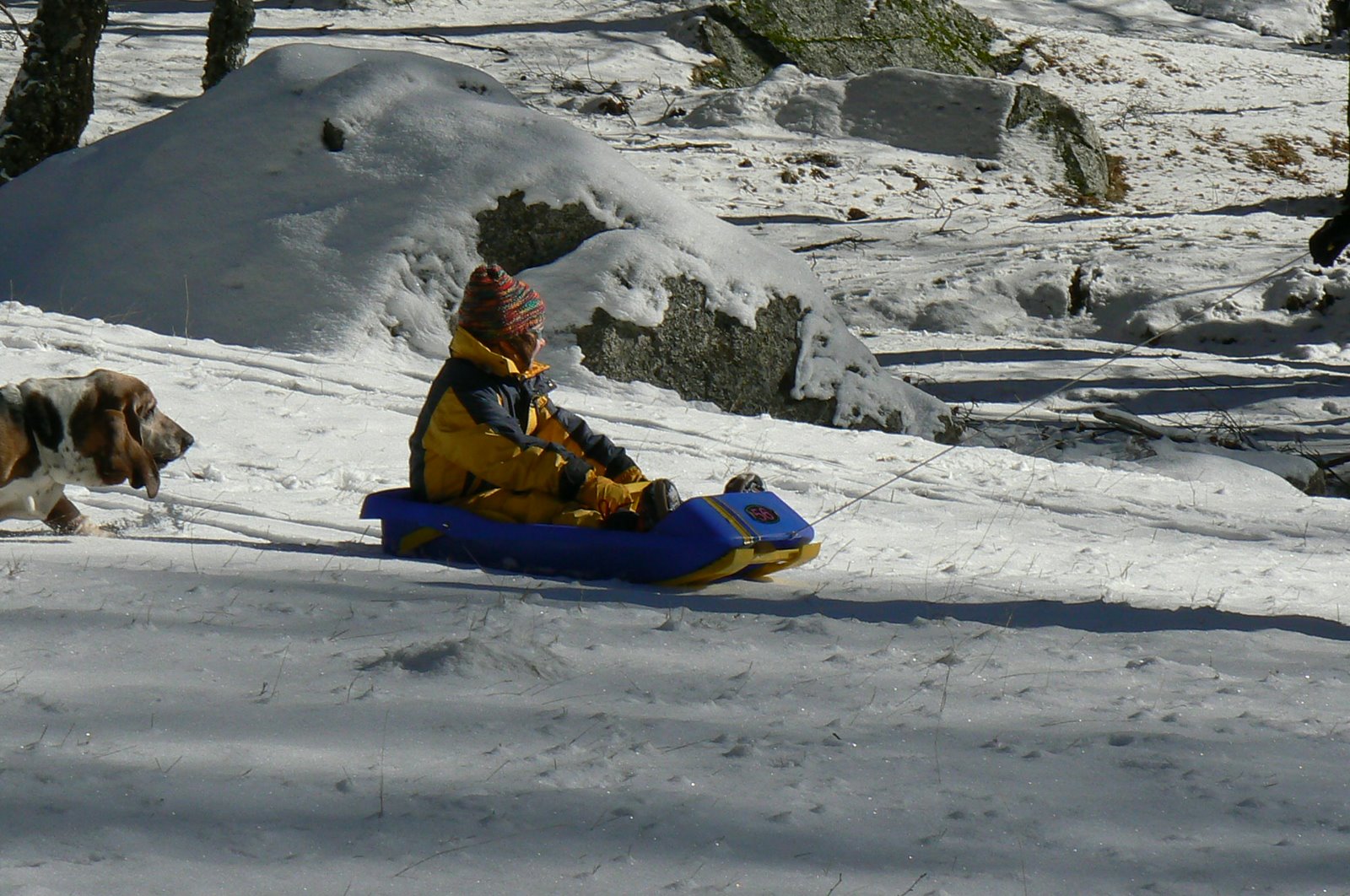 [P1170895.JPG]