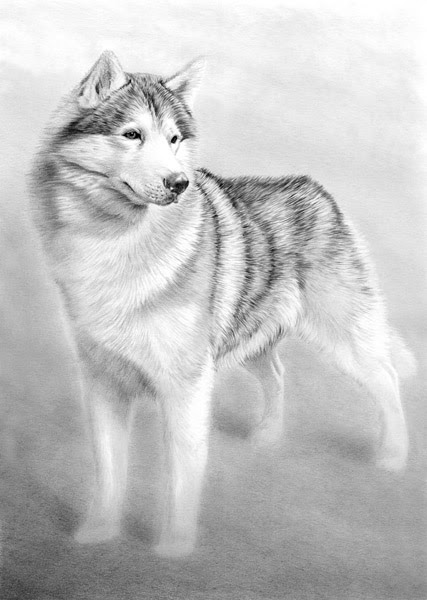 Nolon Stacey - A Pencil Artist&#039;s Blog: A few book drawings