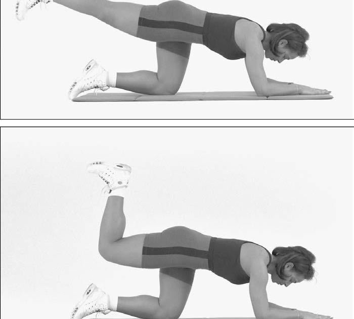 Weight Training Tips and Guide Kneeling leg curl