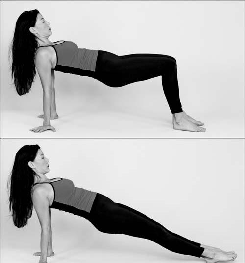 Weight Training Tips and Guide Reverse plank