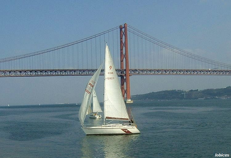 [tejo+022aa.jpg]