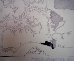 Proporcion Terreno Urbanizado vs Manglar (1770)