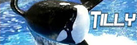 Tilikum