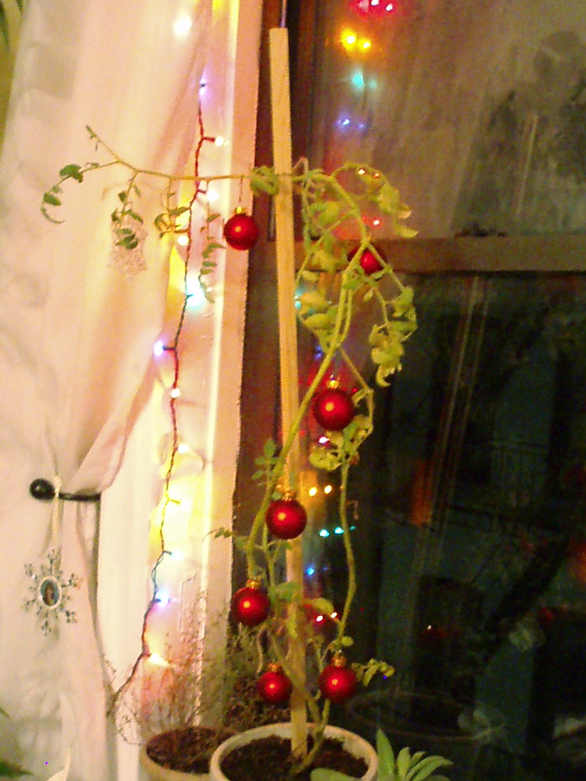 [PC090043.JPG]