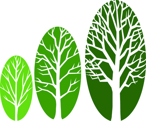 Growth Tree