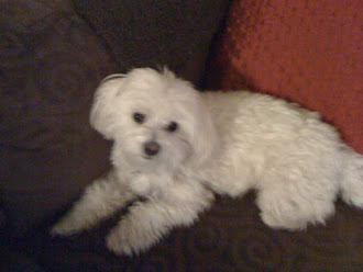 Our baby boy