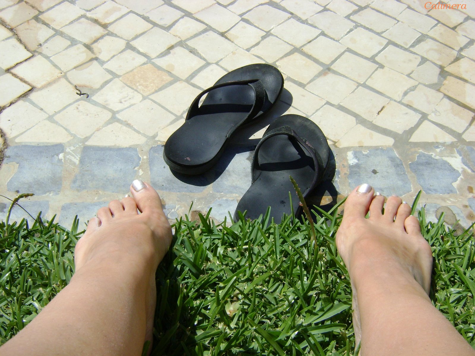 [MR08_2009T.JPG]