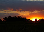 The heavens declare the glory of God; the skies proclaim the work of his hands. - Psalm 19:1