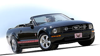 2008 Ford Mustang WIP Edition