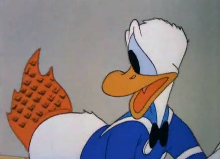 Disney Film Project Chef Donald