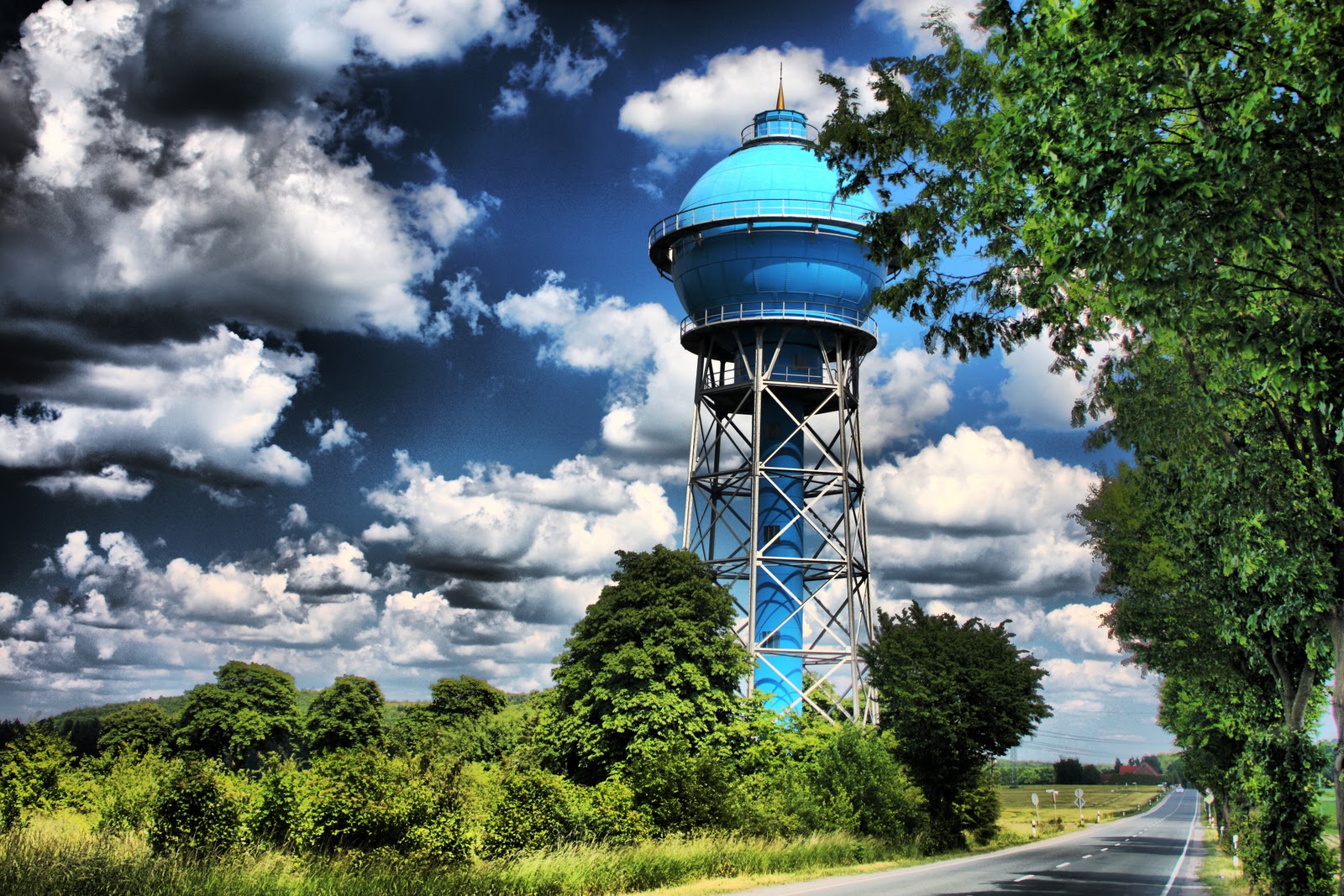 Birding Is Fun June 2010