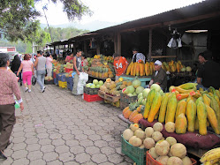 Market in Antigua, Guatamala