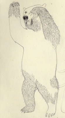 [carsonbear2.jpg]