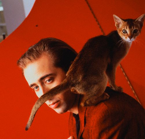 [nicolas+cage.jpg]
