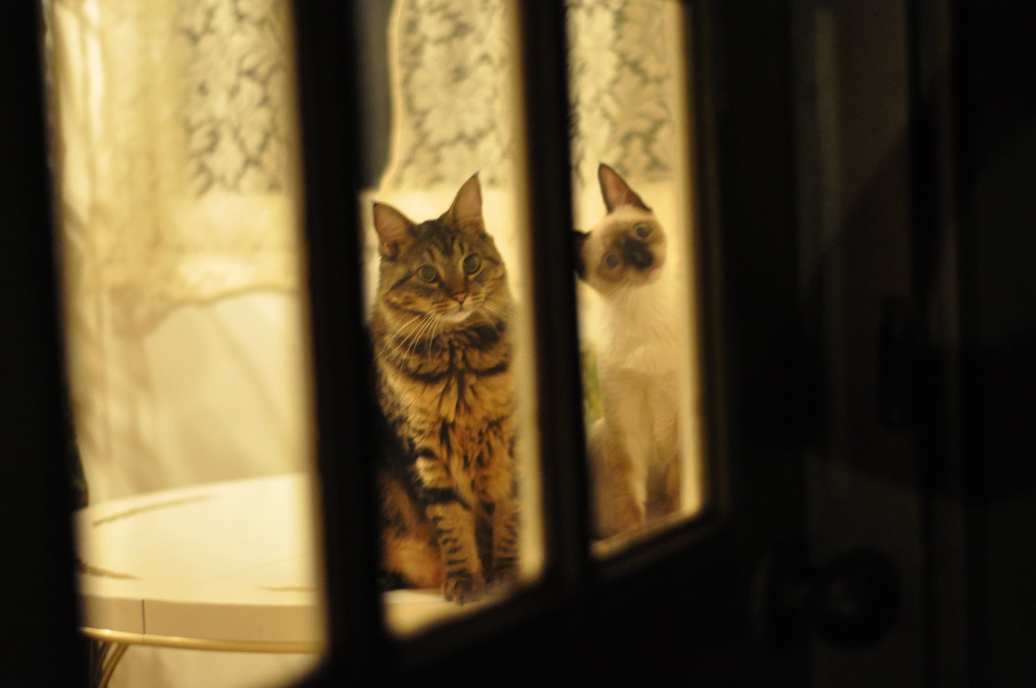 [DSC_0097.jpg]