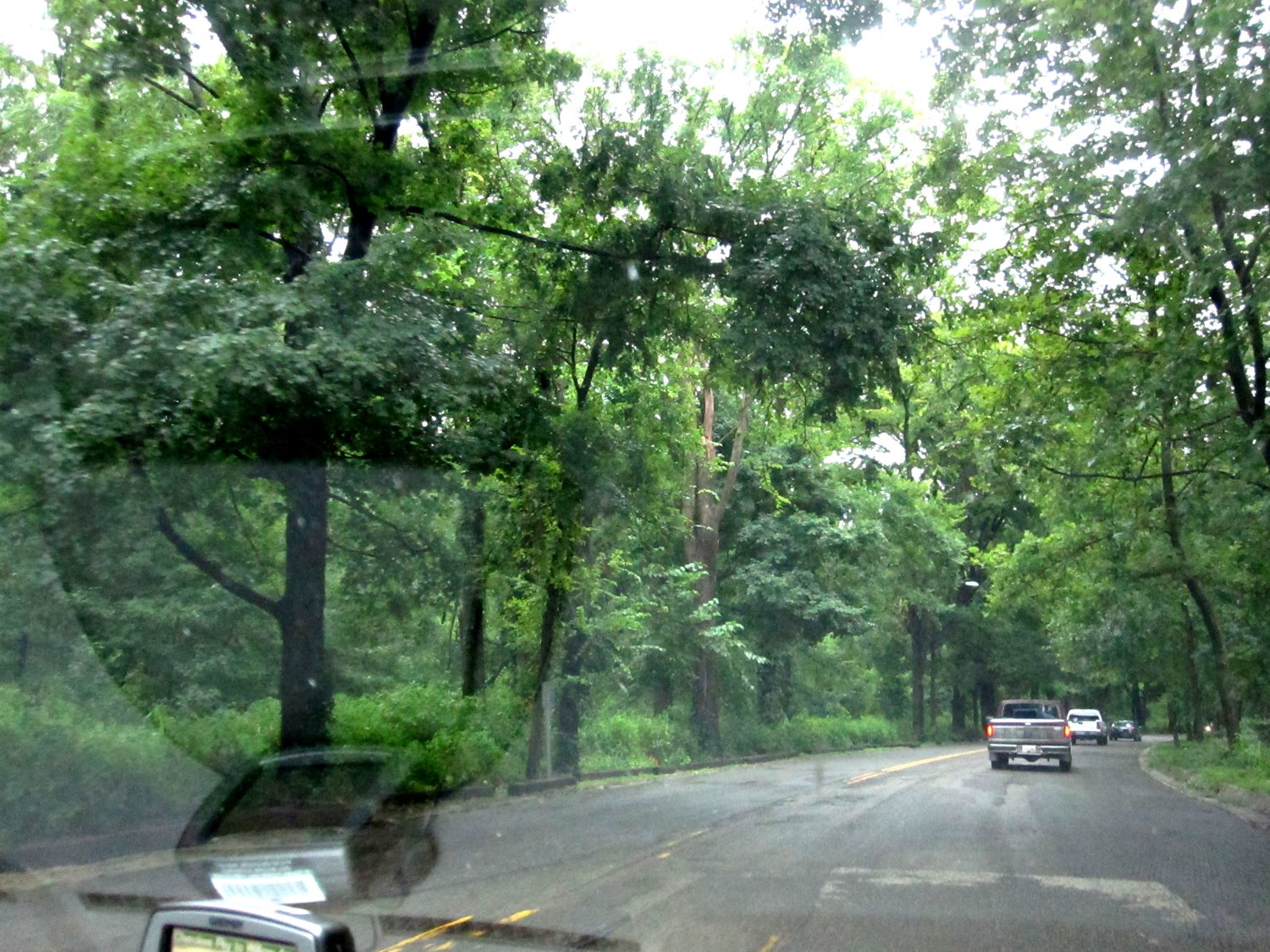 [IMG_0543.jpg]