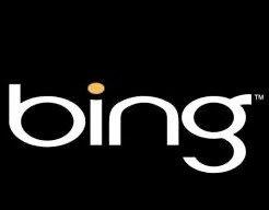 [Bing.bmp]