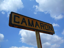 Camarón