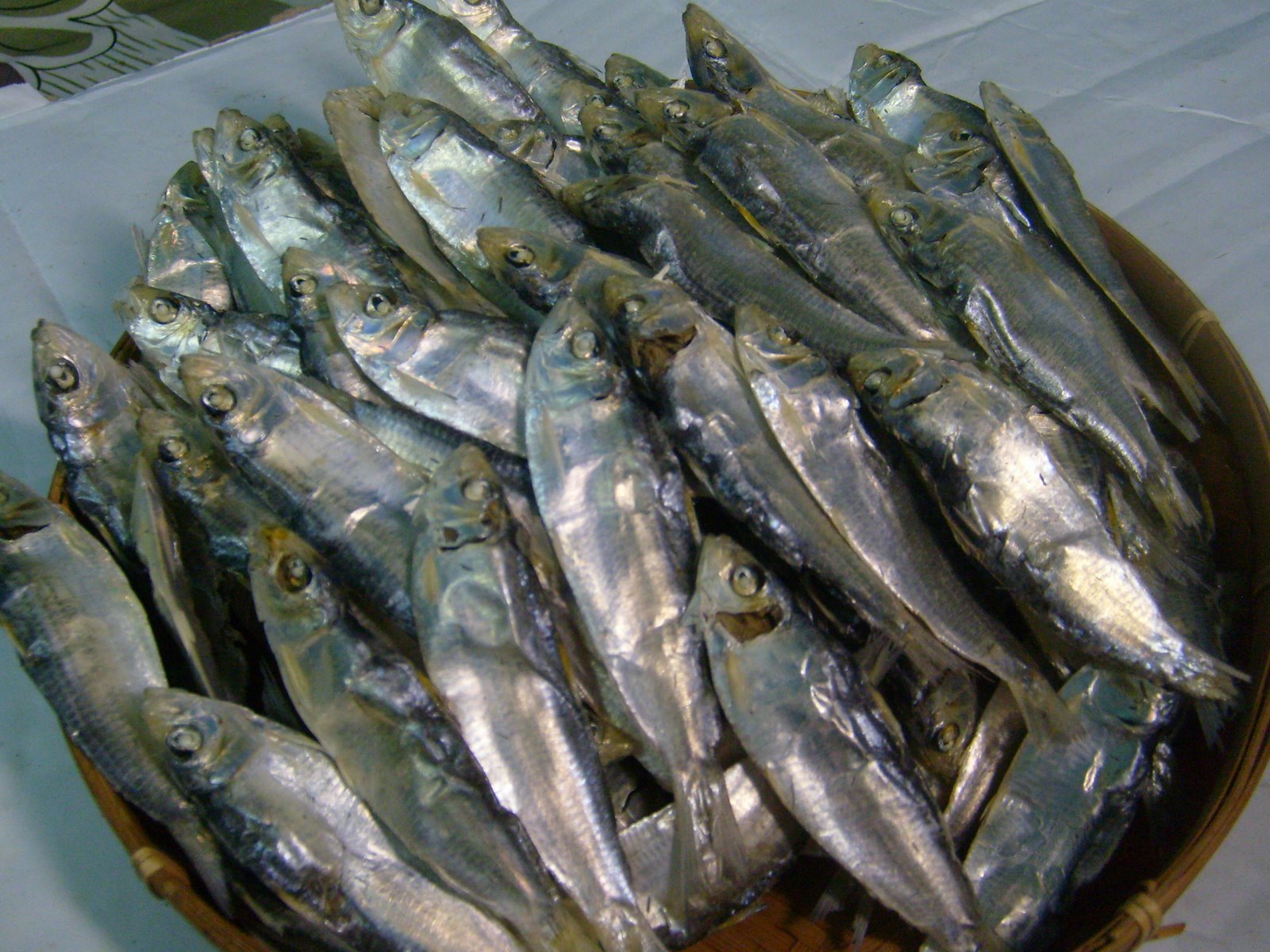 сушених анчоусів ,dried anchovy, makanan laut kering, YST, Herring Dried fish for Muslim