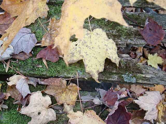 [DSC04842.JPG]