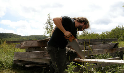 Sawing Timber