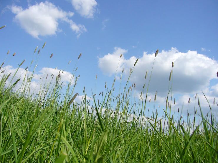 Plus près de la nature, plus près des hommes