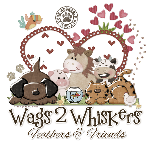 Wags 2 Whiskers