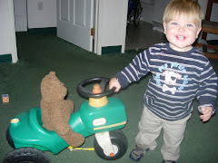 Teddy loves my tractor too!