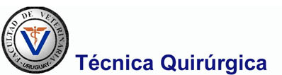 Técnica Quirúrgica - Blog