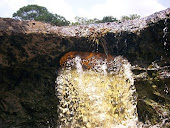 Cachoeira