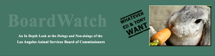 Board Watch