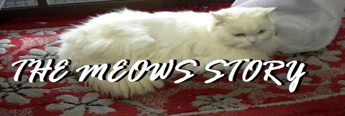 THE MEOWS STORY