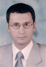 Adel Elgamal