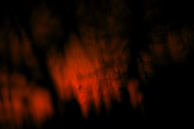 [SafeRedirect+4.aspx]