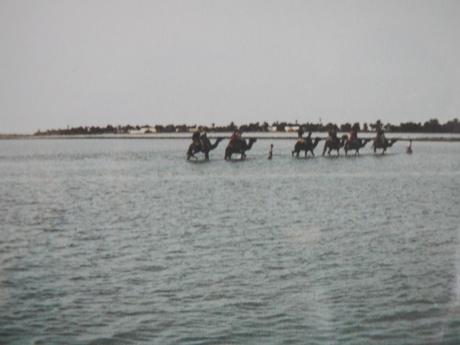 [P1000200tunis.JPG]