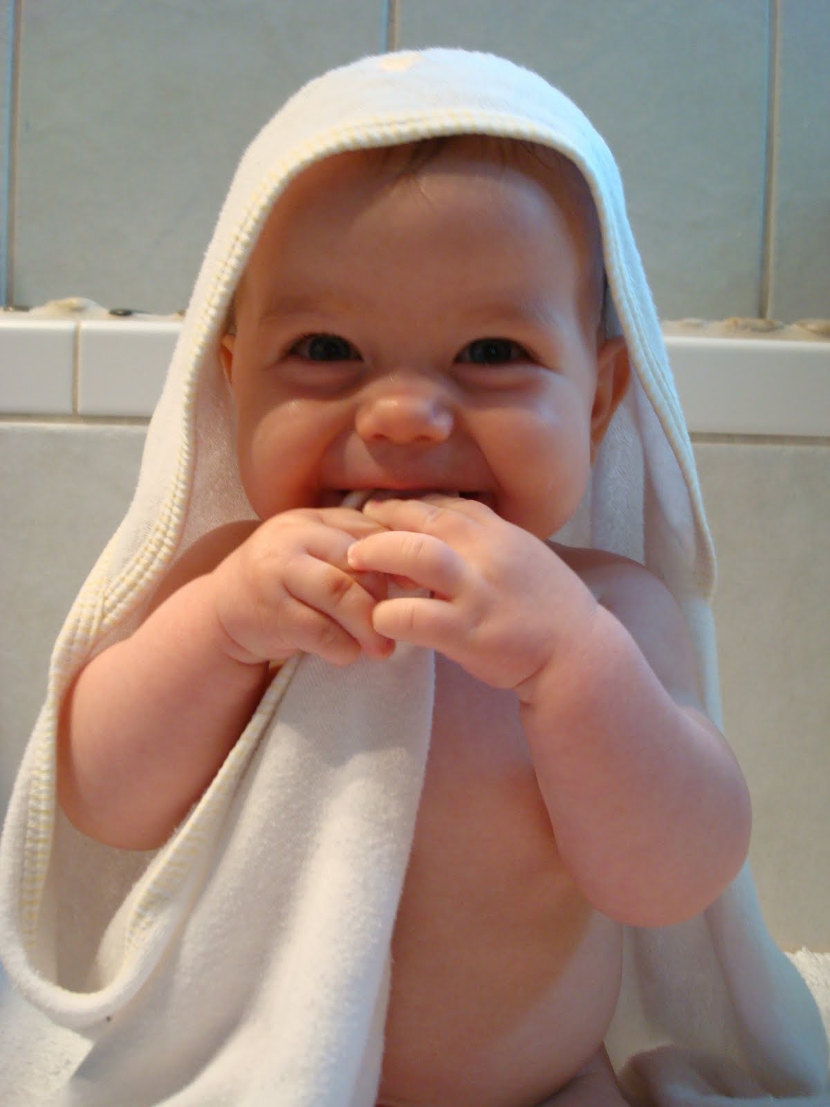[towel.JPG]