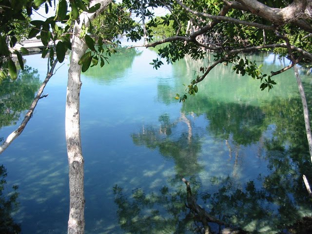 Yucatan Food Cancun Mexico Corner Turn