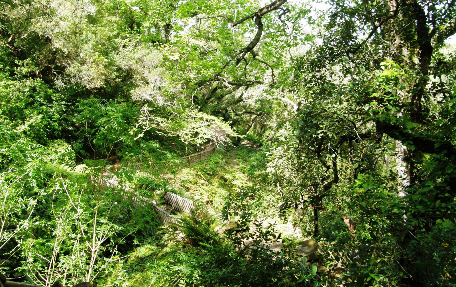 [Parque+de+Monserrate+(8).JPG]