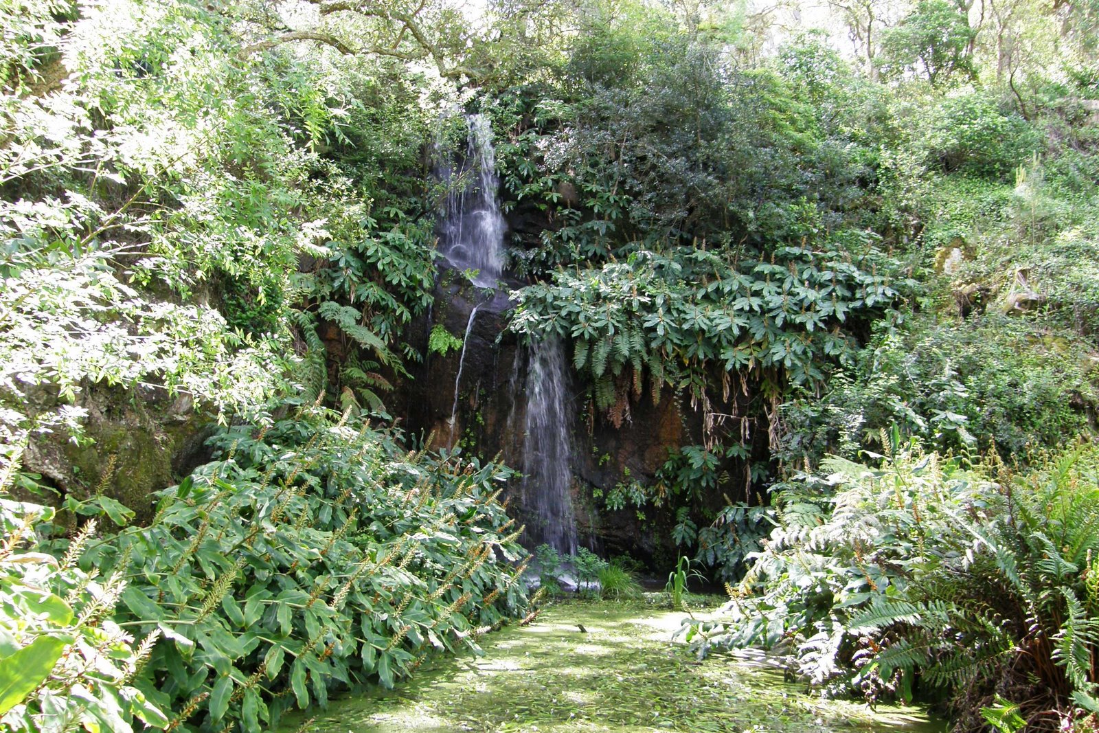 [Parque+de+Monserrate+(14).JPG]