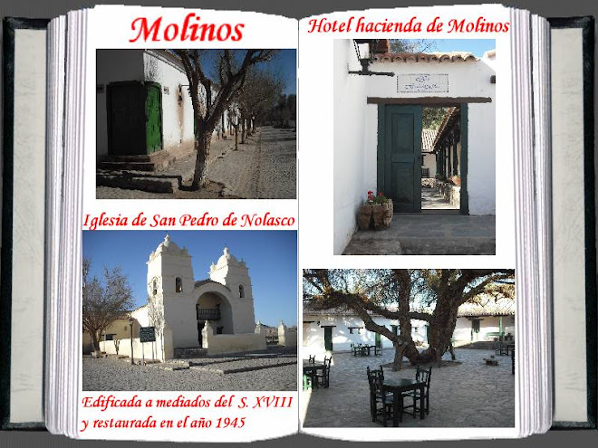 MOLINOS ( SALTA )